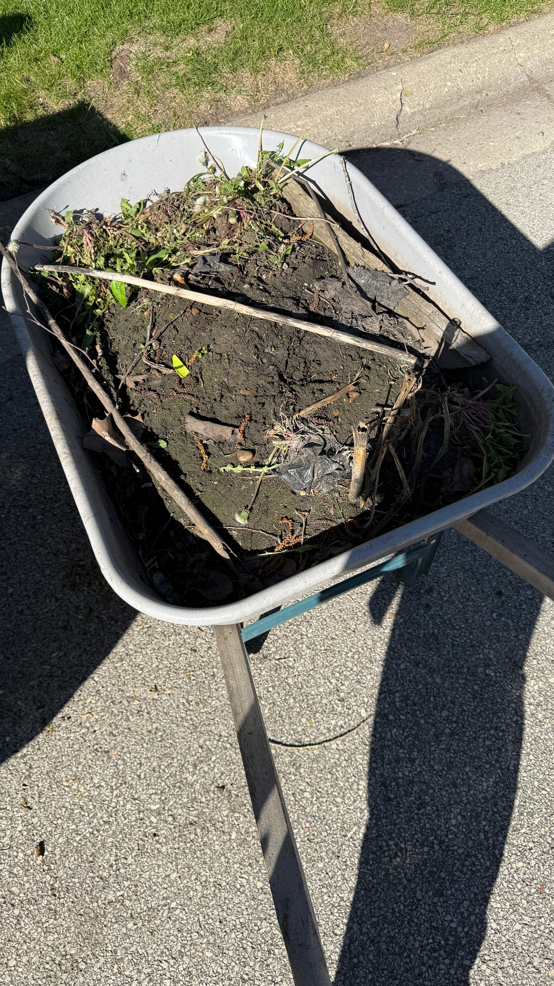 Exterior debris removal Elgin IL — dirt, weeds and yard waste in wheelbarrow