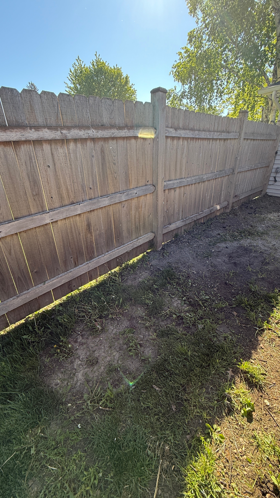 Junk removal near Elgin — cleared fence line after yard cleanup service