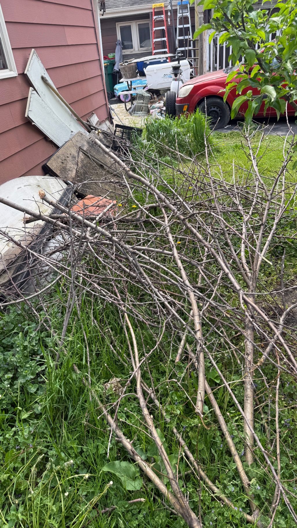 Backyard cleanup service Wheeling — overgrowth and miscellaneous junk